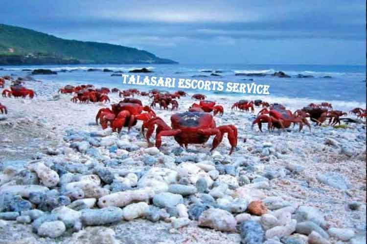 Talasari Escorts Service